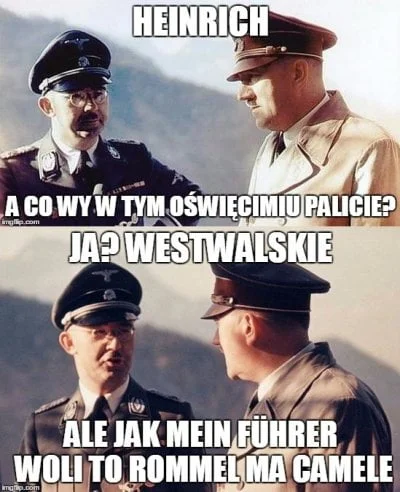 Lukasz1234 - #heheszki #humorobrazkowy #ocieplaniewizerunkuadolfahitlera