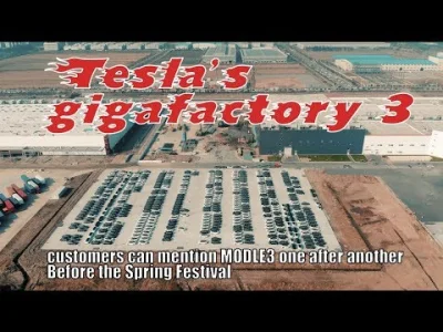 anon-anon - Before the Spring Festival, Tesla delivered MODEL 3 to customers\Tesla gi...