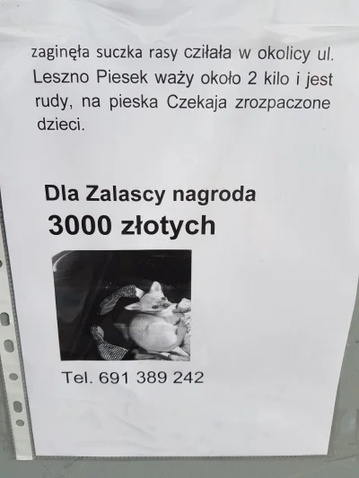 zapster - Mirki potrzebna jest pomoc ! Dla zalascy nagroda!

#pdk