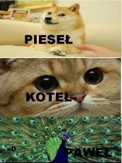 erbeka - #piesel 

#suchar 

#gimbohumor