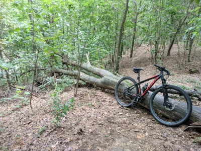 dran2 - No wreszcie normalna pogoda.

#rower #mtb #mazowieckienibymtb ##!$%@?