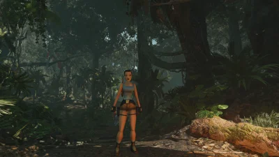 Danteo2 - 20 lat rozwoju na jednym screenie (ʘ‿ʘ)
#tombraider #technologia #gry