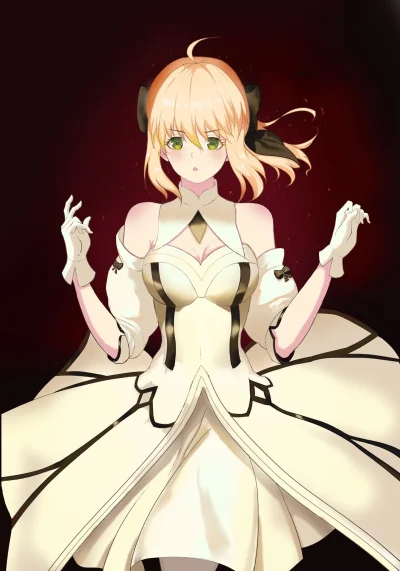 LlamaRzr - #randomanimeshit #fate #fategrandorder #fateunlimitedcodes #saber #saberli...