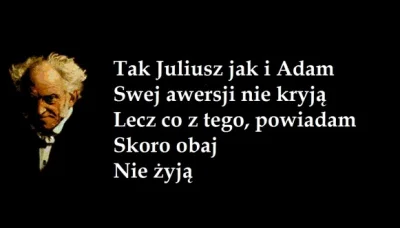 D.....k - #slowacki #mickiewicz #schopenhauer #heheszki