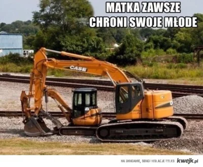 1.....e - Matka broni swoje młode. #humorobrazkowy