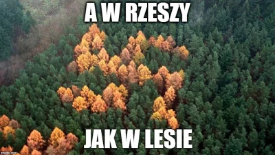 c.....n - Ale za hitlera przynajmniej były niższe podatki #niemcy #heheszki #jkm #oci...