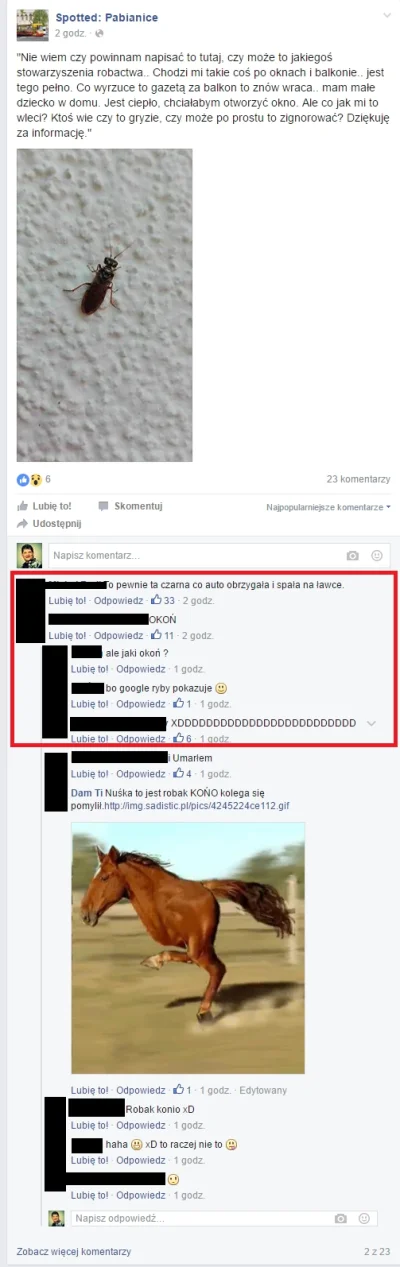 l1ght - #heheszki #bekazpodludzi