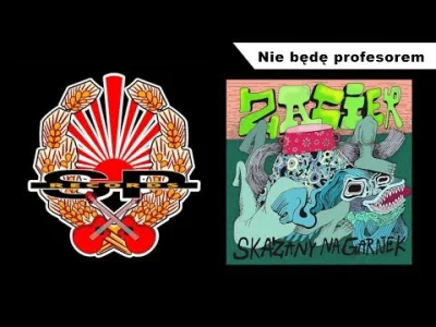 pcstud - nie będę k---a docentem... #spiewajzwykopem #muzyka