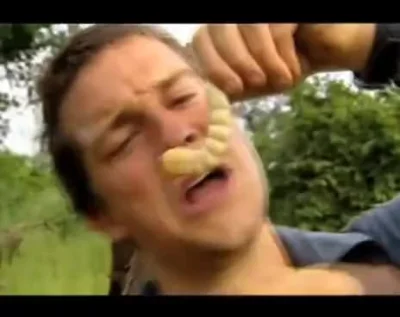 mirra90 - Zawsze robię się głodna jak to oglądam. ʕ•ᴥ•ʔ
#beargrylls #jedzzwykopem