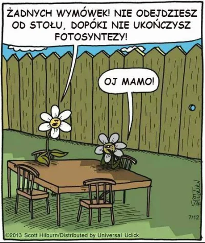 s.....f - #heheszki #humorobrazkowy