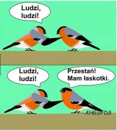 K.....a - Dzień dobry ʕ•ᴥ•ʔ kogoś pogilać na poprawę humoru? XD 
#dziendobry