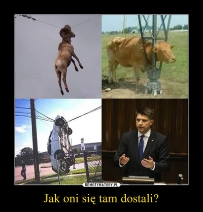 0hn0 - jak oni się tam dostali?