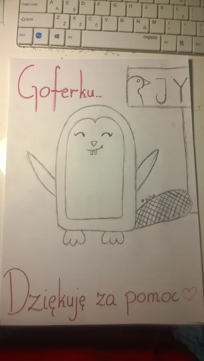 goferek - Co ja właśnie dostałem...
#smiesznypiesek