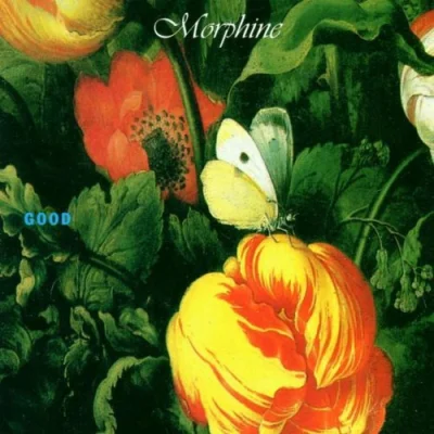 P.....k - Morphine - Good
#morphine #albumartporn