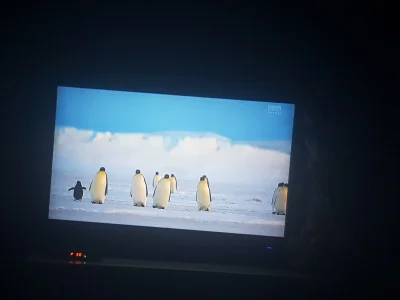 B.....9 - Pingwiny sa super xD #pingwiny 179 cm vs 180 cm xD