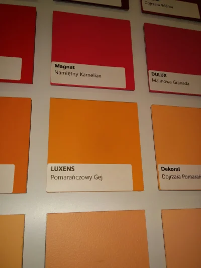 Kszyh - Wybierałem dziś kolor ścian do sypialni. Nazwy kolorów farb potrafią być ciek...