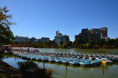 m.....o - #menciowjaponii #japonia #tokio #ueno dzielnica Ueno. Piękna pogoda z dzisi...