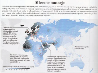 orkako - @neoarcheo: @pogromca-motyli: 

Bzdur jest jeszcze więcej, ale myślę, że t...