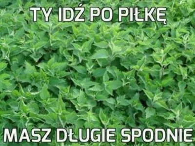 BenzoesanSodu - ( ͡° ͜ʖ ͡°)

#heheszki #humorobrazkowy #humor #gownowpis