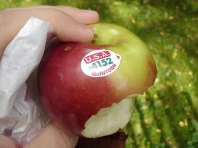 pikko91 - Mcintosh apple
 Jabłoń domowa 'McIntosh' – odmiana uprawna (kultywar) jabło...