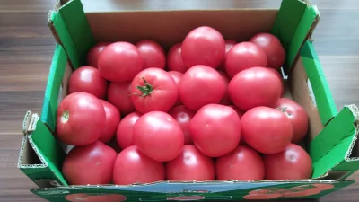 math1982 - Kurła kocham pomidory, 6 kg malinówek z Włoszakowic, na tydzień styknie.
...