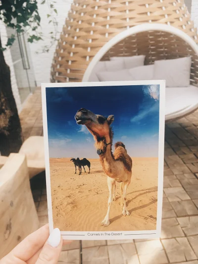 cytmirka - Elegancka pocztówka prosto z Dubaju czyli Zjednoczonych Emiratów Arabskich...
