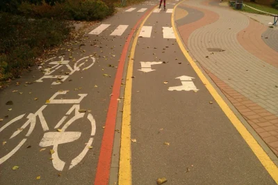 borntobewild - Kiedy rower spotyka rolki

#rolki #rower #cyklisci #januszerowerow