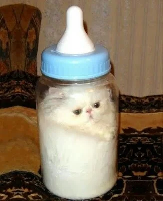 rubyduby - przepraszam ten kot w butelce mial byc tutaj