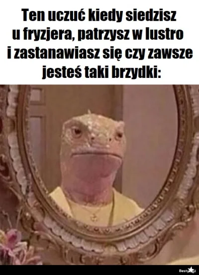 Jestem_Tutaj - dżizas muszę w przyszłym tygodniu iść do fryzjera...
#przegryw