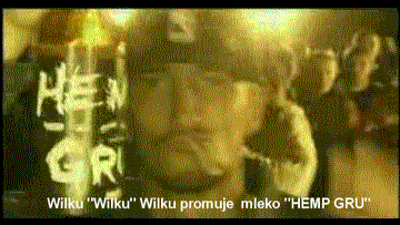 Chippy - #bekazrapsow #suchar