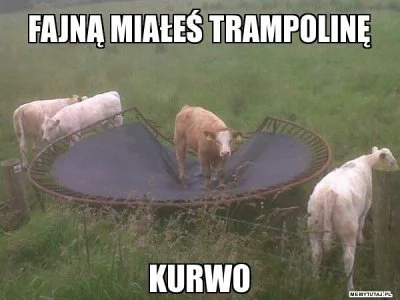 Python - #dawnoniebylo #byloaledobre #trampolina #humorobrazkowy #gimbohumor