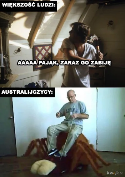 arturzycabamburzyca - #heheszki #Australia ( ͡° ͜ʖ ͡°)
#humorobrazkowy #pajaki #arac...