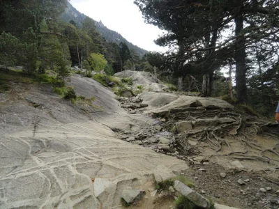 lothar - Czy ktos potrafi powiedzieć jak powstaly te linie na skalach? #geologia#góry...