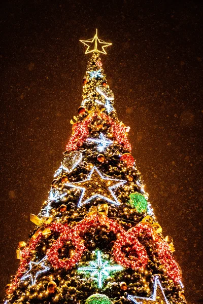 naxed - Jarmark świąteczny #bielskobiala
