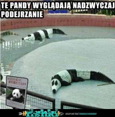 opilec - #panda #krokodyl #ujwieco

Śliczne Pandy.