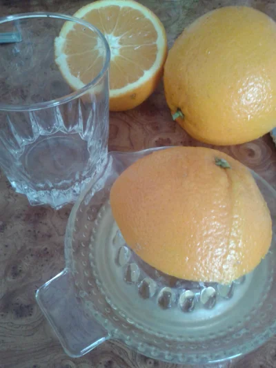 S.....r - Nie ma to jak sok ze świeżo wyciśniętych pomarańczy <3

#pijzwykopem #sok #...