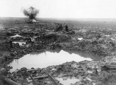 myrmekochoria - Zniszczony czołg pod Passchendaele

„Podejście do wzgórza było jedn...