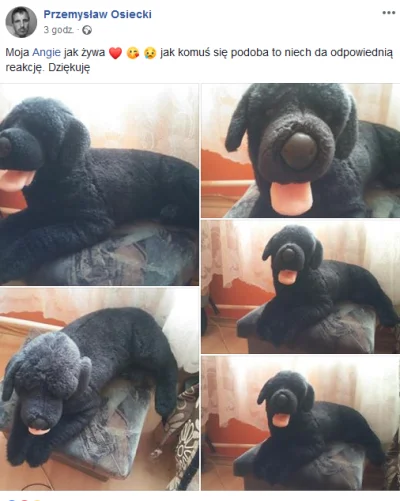 KocurYT - Osieckemu #!$%@?ło xd kupił sobie maskotkę czarnego psa nazwał ją endzi :D ...