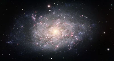 d.....4 - NGC 7793

#kosmos #astronomia #dobranoc #conocjednagalaktyka