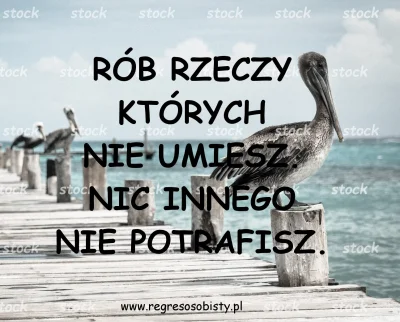 60scnds - No taka prawda jakby nie patrzeć. 
Nie bójcie się przegrywy. I tak już wsz...