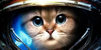 m.....i - StarCat



#starcraft #lolcontent