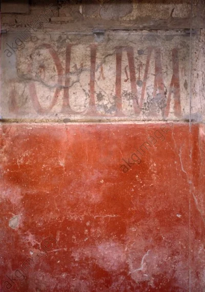 IMPERIUMROMANUM - RZYMSKA INSKRYPCJA „OLIUM”

Rzymska inskrypcja „Olium” na ścianie...