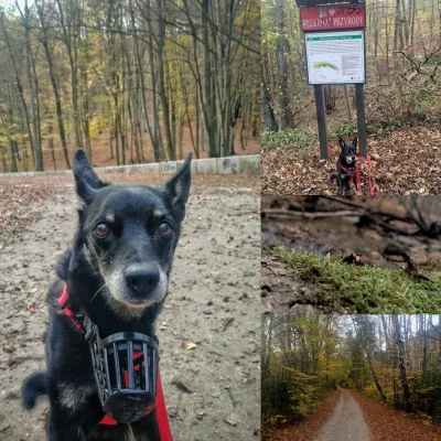 Zataok - Wybrane #mirkowyzwanie: Wybierz się na spacer do lasu lub parku i sfotografu...