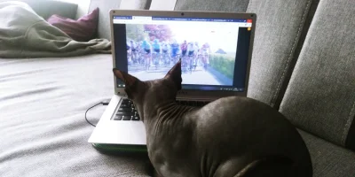 cultofluna - #kolarstwo #pokazkota #kot #sfinks

"Twój kot oglądałby Amstel Gold Race...