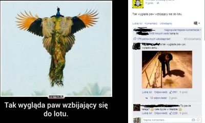 igorovsky - #facebookcontent #humorobrazkowy #heheszki