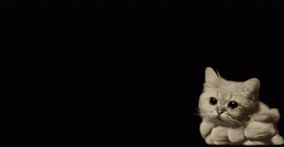 Internatka - #gif #koty #heheszki 

kotałke chmurałke dymałke