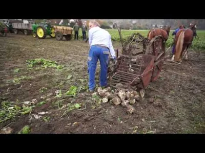 Razgal - Ciekawy filmik, pokazujący jak zmieniała się technologia zbioru buraków cukr...