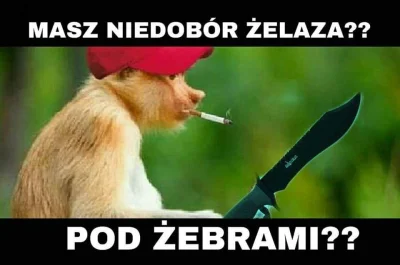 Zarzadca - #polak #nosaczsundajski #humorobrazkowy