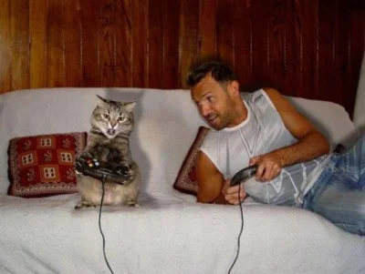 paweljelonek - #kot #cat #konsola #photo czy ktoś wie jak tak wyuczyć kota???