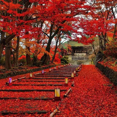HaHard - Jesień w Kyoto, Japonia

#hacontent #fotografia #kyoto #japonia #natura #j...